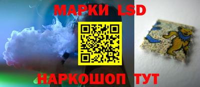 стафф Камышлов