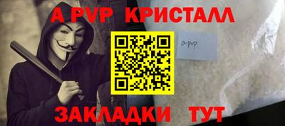 стафф Камышлов