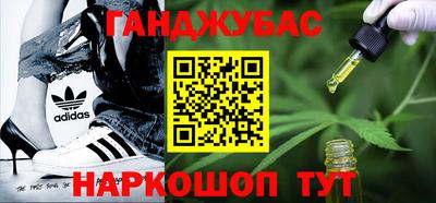 стафф Камышлов