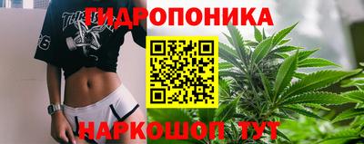 стафф Камышлов