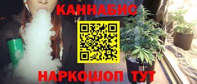 стафф Камышлов