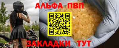 стафф Камышлов