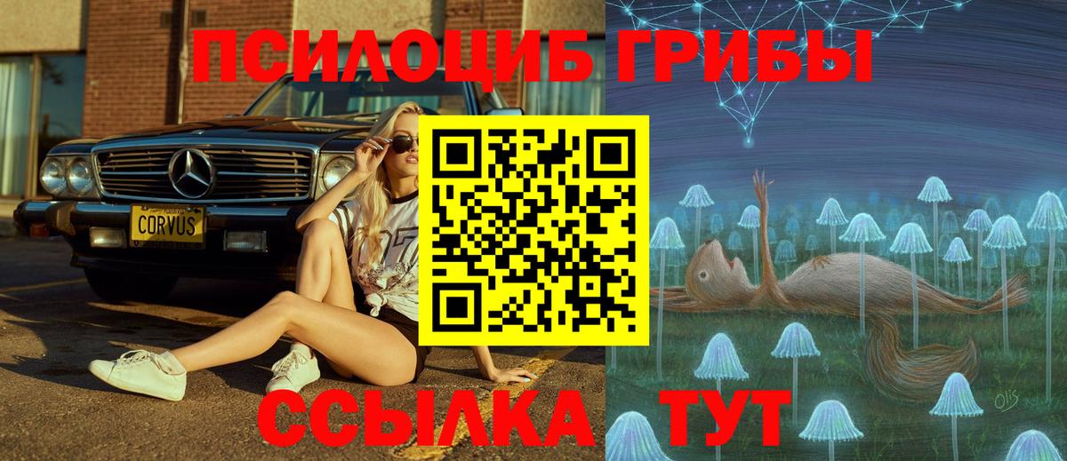как найти закладки  Галлюциногенные грибы мухоморы  Вход с VPN  Кингисепп 